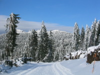 Höhenloipe im Bayerischen Wald in der Nähe der Ferienwohnung FeWo Moosau in D-94258 Frauenau © Gine Selle, Frauenau