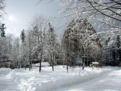 Baumei am Waldwipfelpfad in Neuschönau im Nationalpark Bayerischer Wald in der Nähe der Ferienwohnung FeWo Moosau in D-94258 Frauenau © Gine Selle, Frauenau