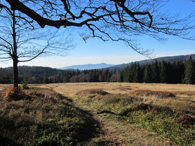 Schachten, die Perlen im Waldmeer in der Nähe der Ferienwohnung FeWo Moosau in D-94258 Frauenau © Gine Selle, Frauenau